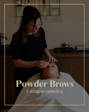 opleiding permanente make-up_eindhoven_ombrebrows